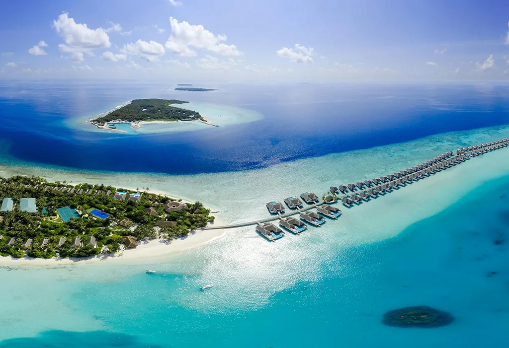 Vaccation