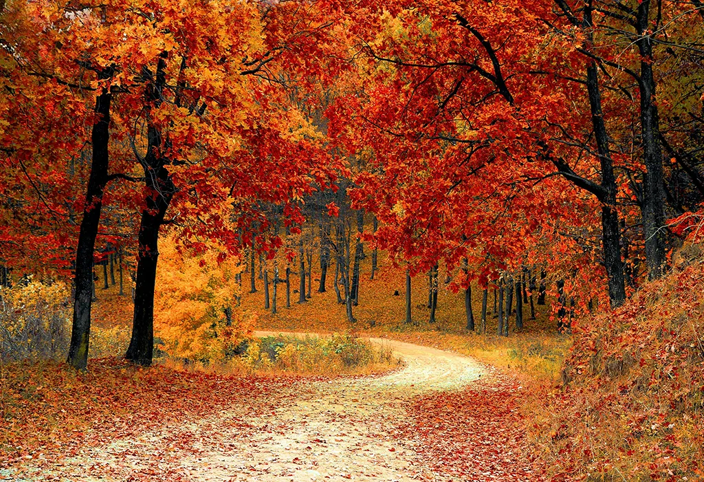 Autumn is here