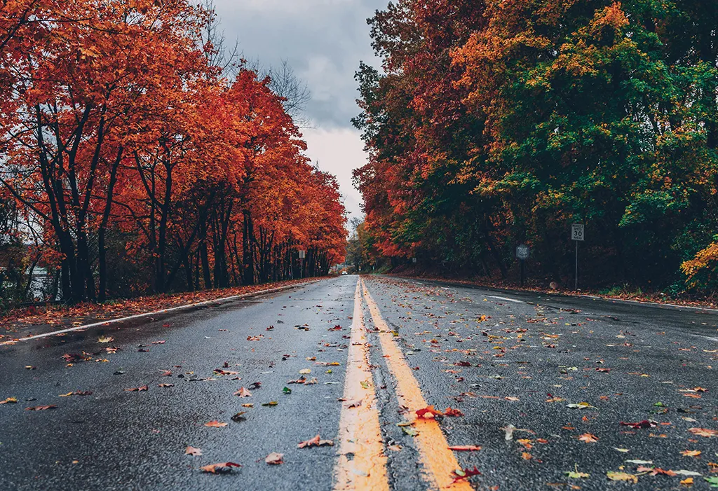 Training in the fall