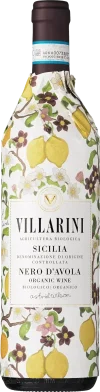 Villarini