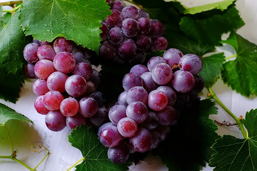 New Wine Review