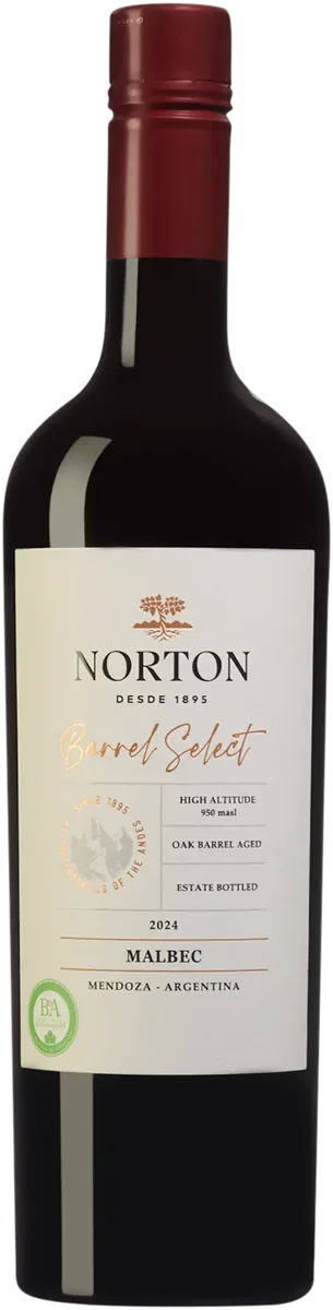 Norton