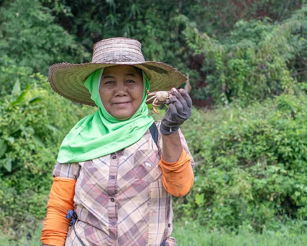 Ricefarmer at Nan in Thailand, with a bag with crabs