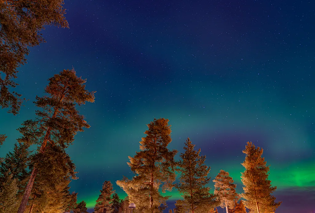 First sight of Aurora this christmas